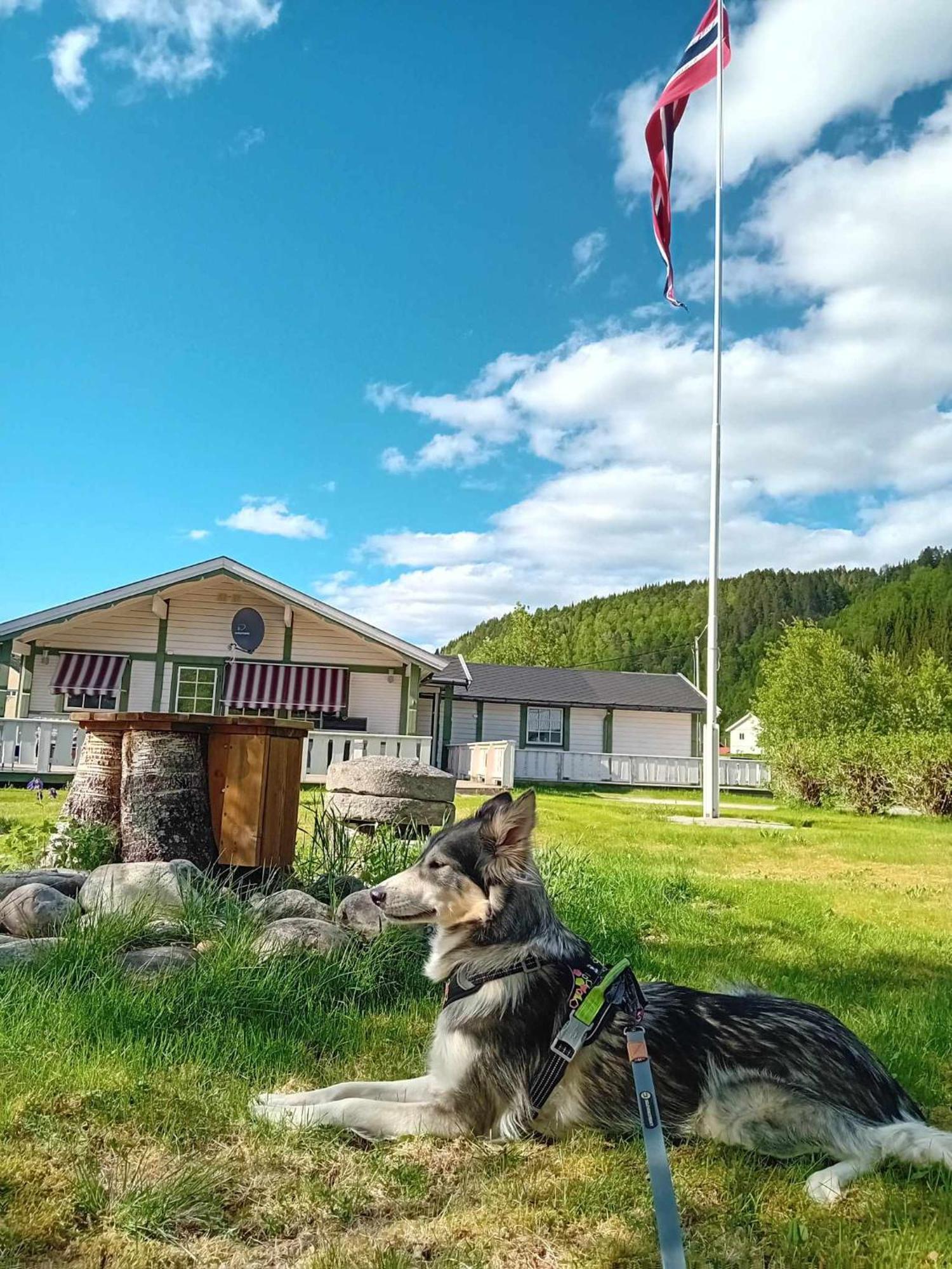 Nordnes Kro Og Camping Rokland Esterno foto